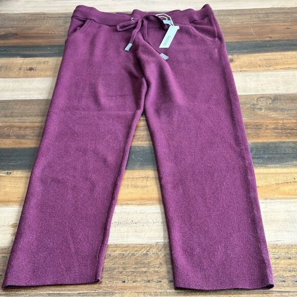 Chico’s Zenergy Luxe Cashmere Blend pants